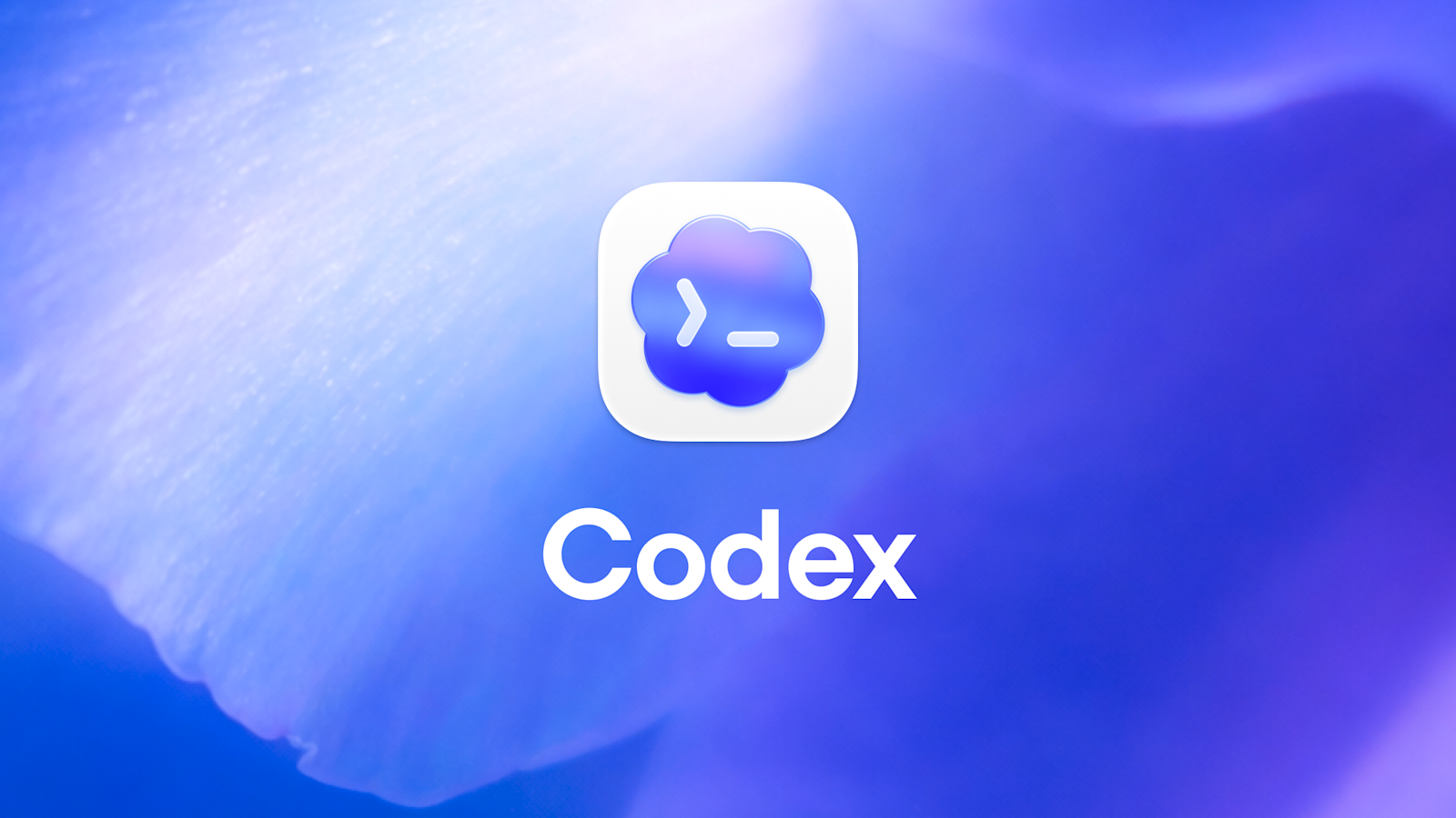 codex